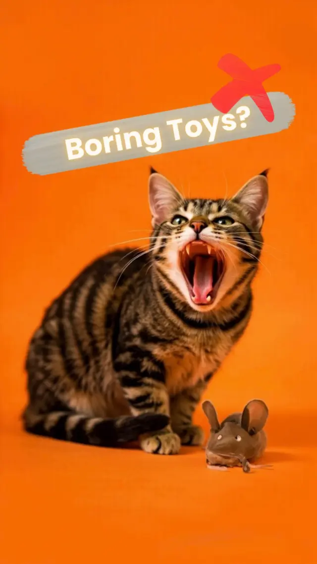 Is your cat bored, frustrated, or acting out? It might not be behavior — it might be boredom.
🧠 Cats need mental stimulation, not just noisy toys. 🎯 TreatChaser rewards their brain and their belly.
👇 Tag a cat parent who needs to see this!

____________
#myhikaku #MentalStimulation #TreatChaser #cat #toys